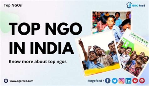 Top NGO in India 2024: Who Brings the Changes in Society .